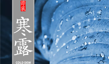 首页| w66集团中国最老牌官方网站